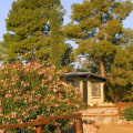 Forecast of the Tucson Real Estate Market