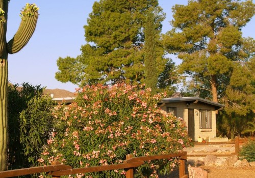 Forecast of the Tucson Real Estate Market